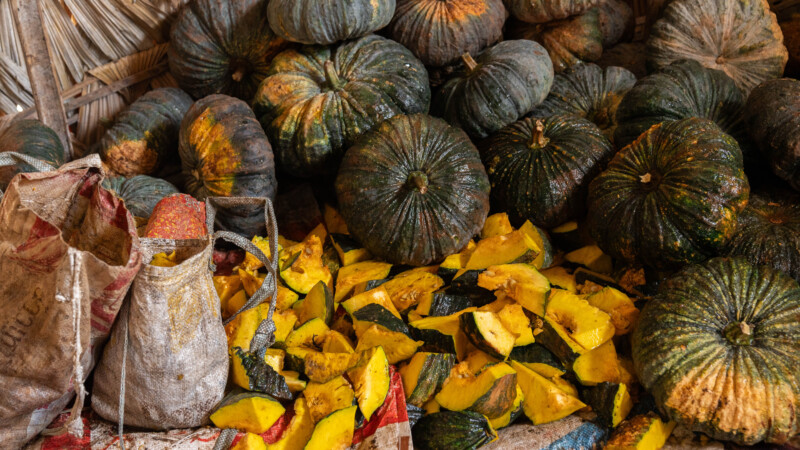 NewElephantHome.co.th สัมผัสประสบการณ์การอยู่ร่วมกับช้างตลอดทั้งวัน (152)