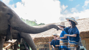 NewElephantHome.co .th สัมผัสประสบการณ์การอยู่ร่วมกับช้างตลอดทั้งวัน 159