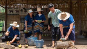 NewElephantHome.co .th สัมผัสประสบการณ์การอยู่ร่วมกับช้างตลอดทั้งวัน 49