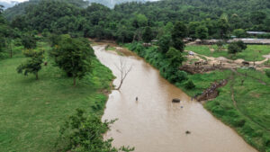 NewElephantHome.co .th สัมผัสประสบการณ์การอยู่ร่วมกับช้างตลอดทั้งวัน 671