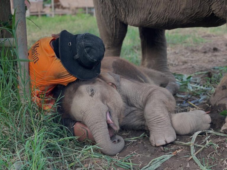 u2 530412403 17976948185865109 4015877927647261034 n