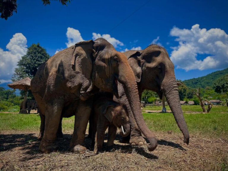 u2 542986283 17979540032865109 3504438609804813158 n